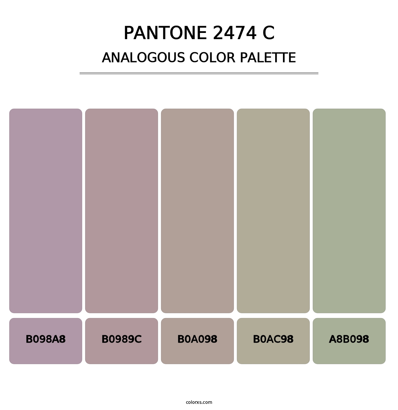 PANTONE 2474 C - Analogous Color Palette