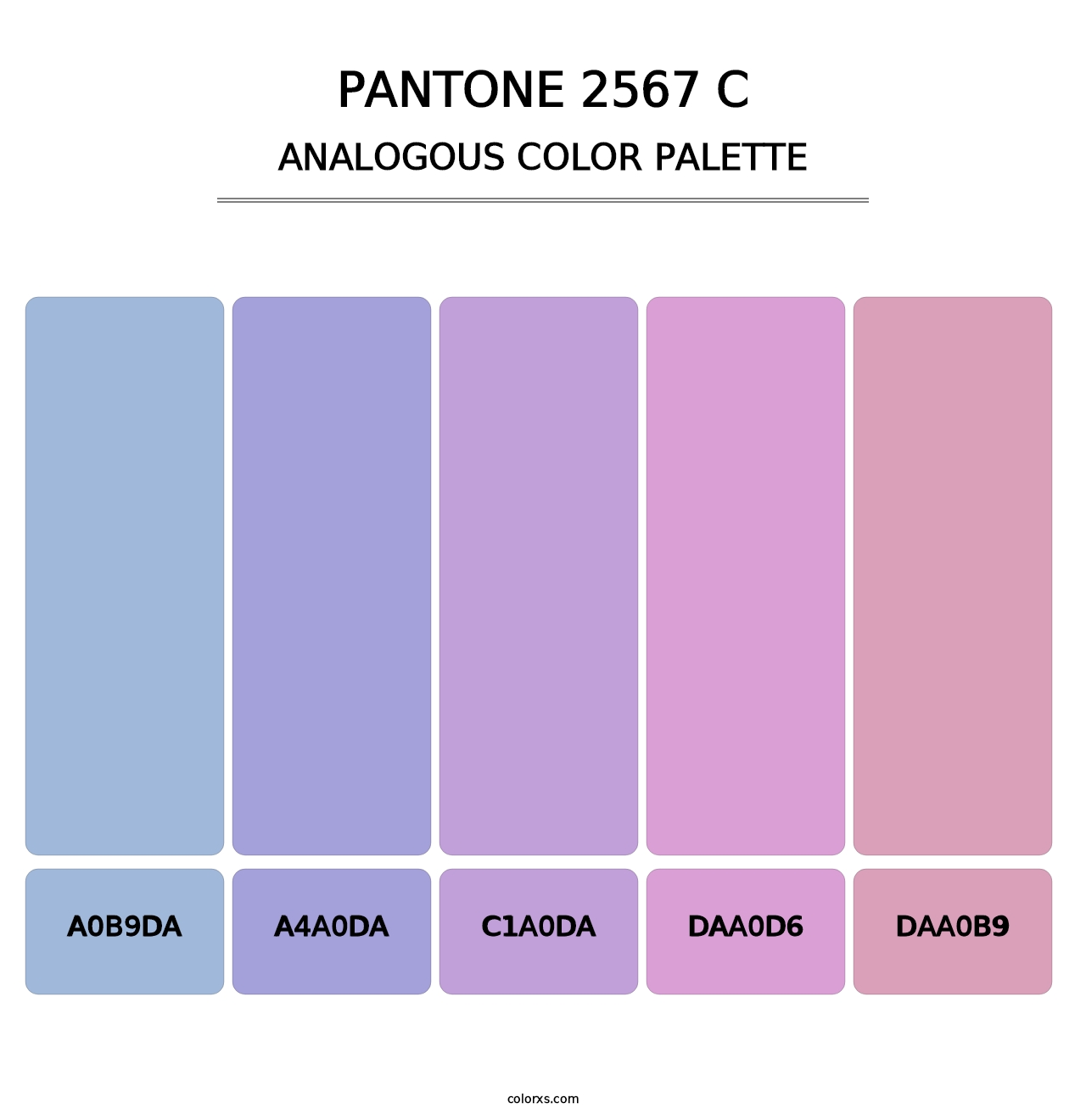 PANTONE 2567 C - Analogous Color Palette