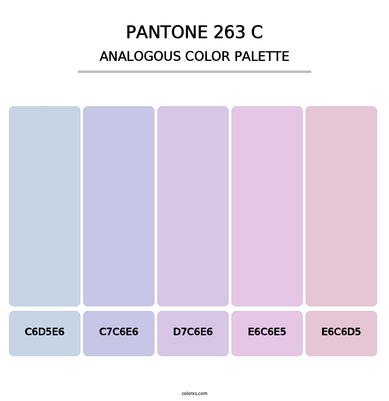 PANTONE 263 C - Analogous Color Palette