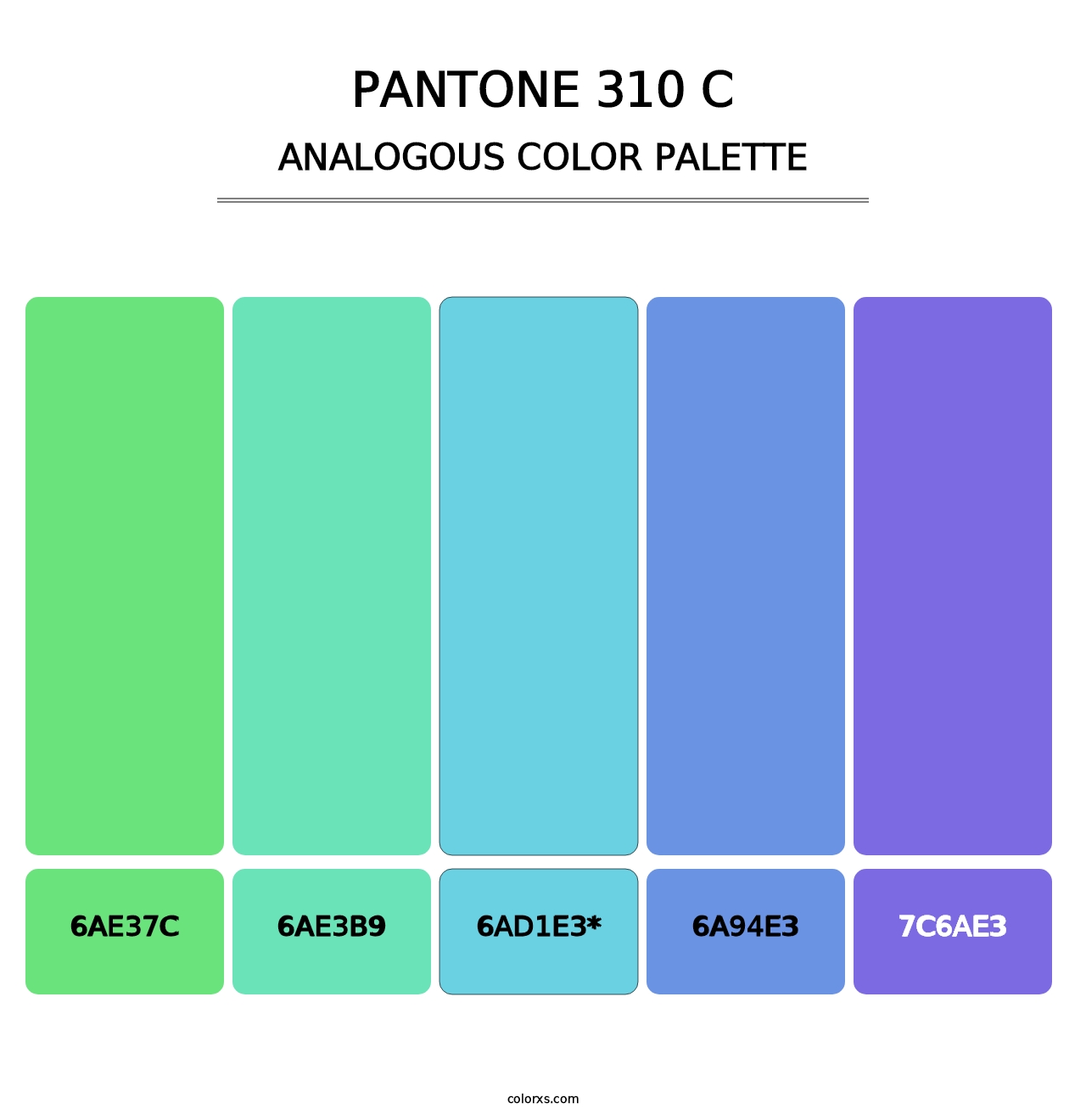 PANTONE 310 C - Analogous Color Palette