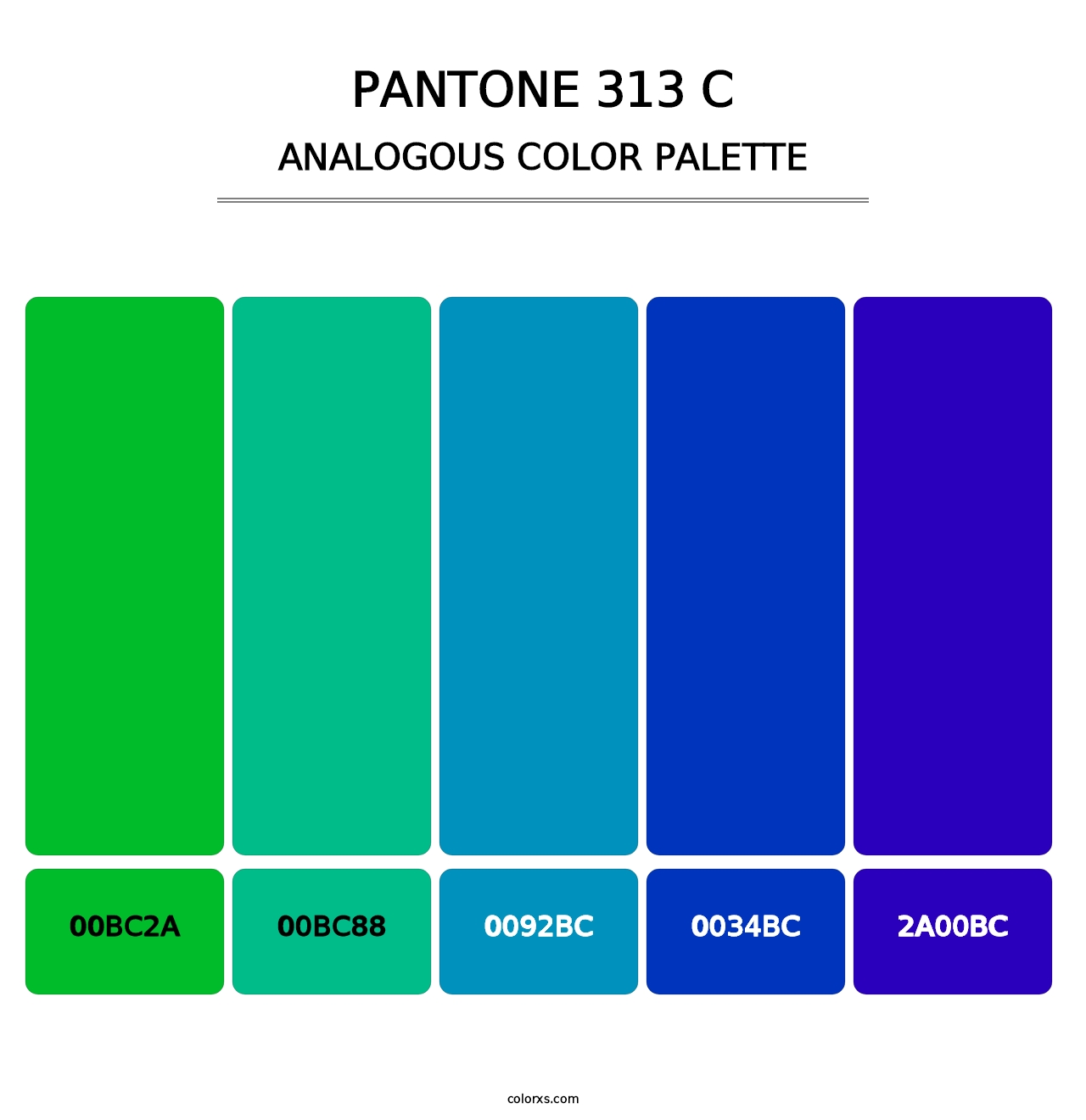 PANTONE 313 C - Analogous Color Palette