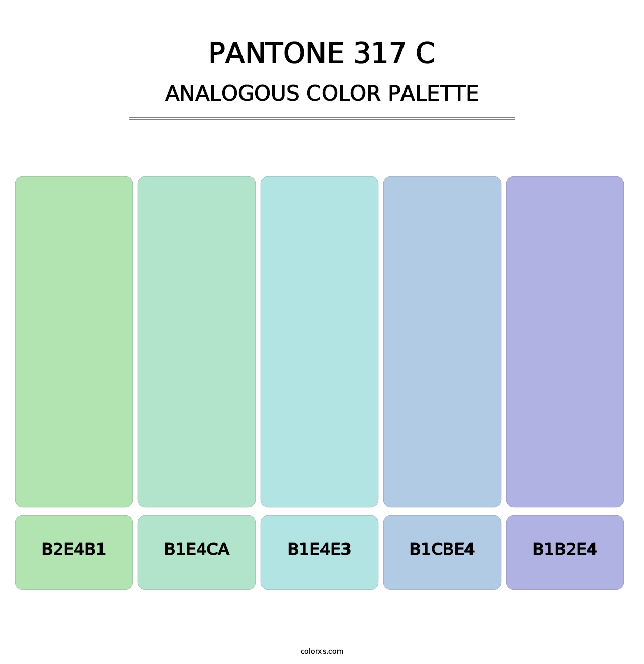 PANTONE 317 C - Analogous Color Palette