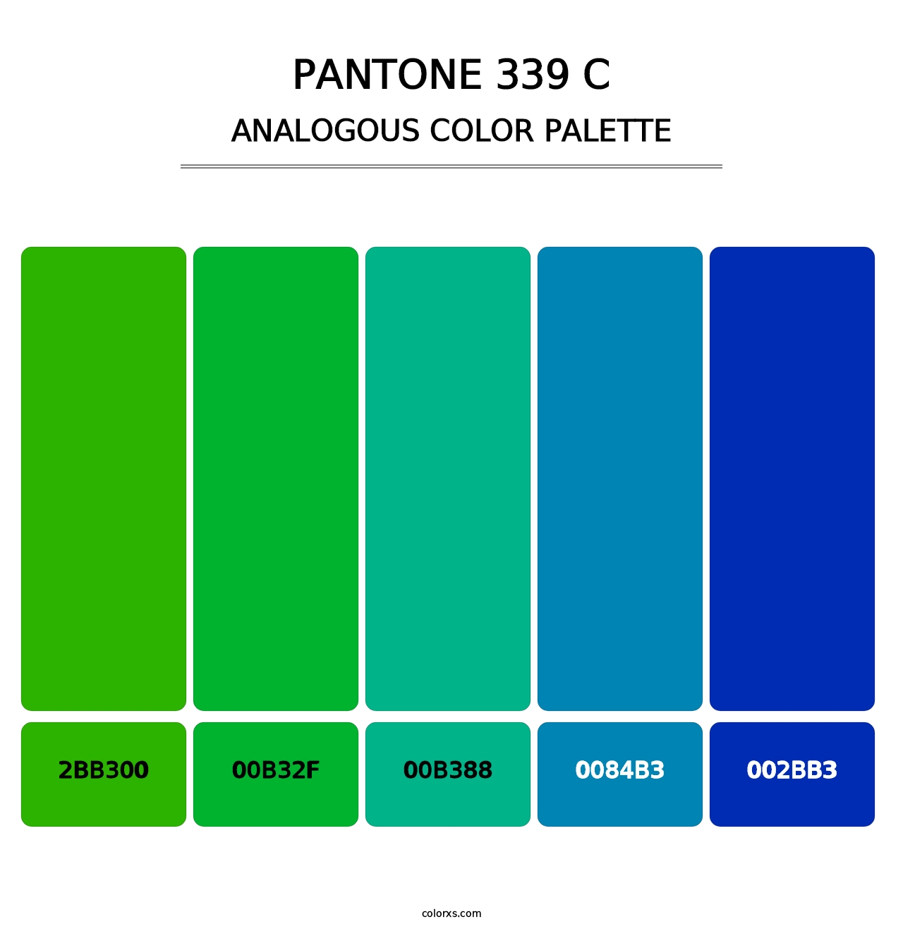 PANTONE 339 C - Analogous Color Palette