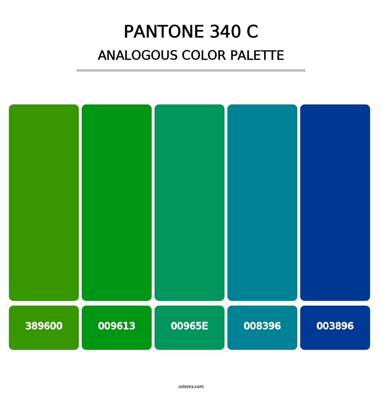 PANTONE 340 C - Analogous Color Palette