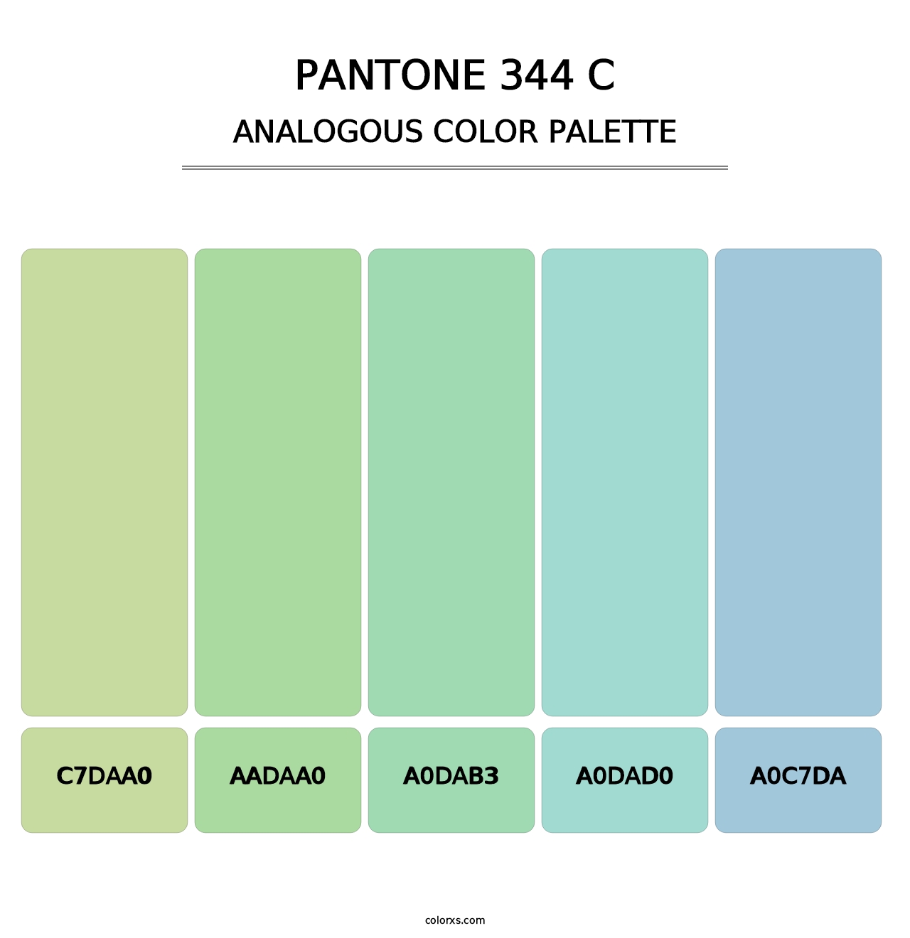 PANTONE 344 C - Analogous Color Palette