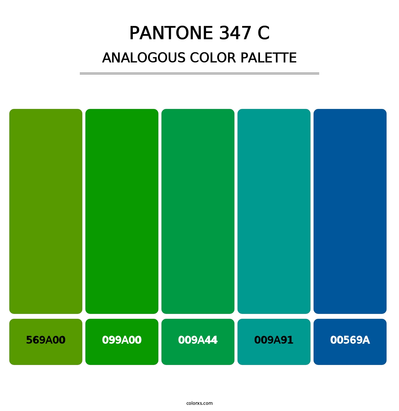 PANTONE 347 C - Analogous Color Palette