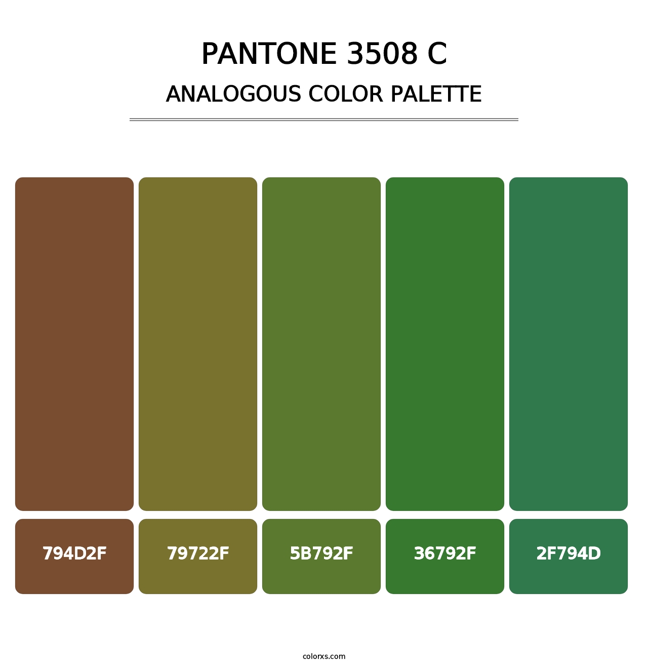 PANTONE 3508 C - Analogous Color Palette