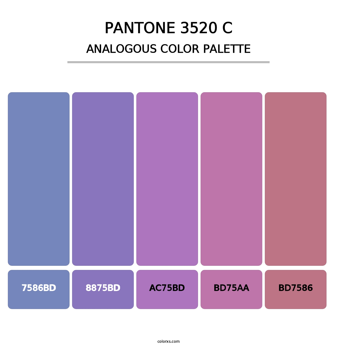 PANTONE 3520 C - Analogous Color Palette