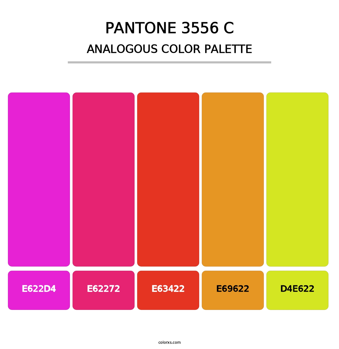 PANTONE 3556 C - Analogous Color Palette