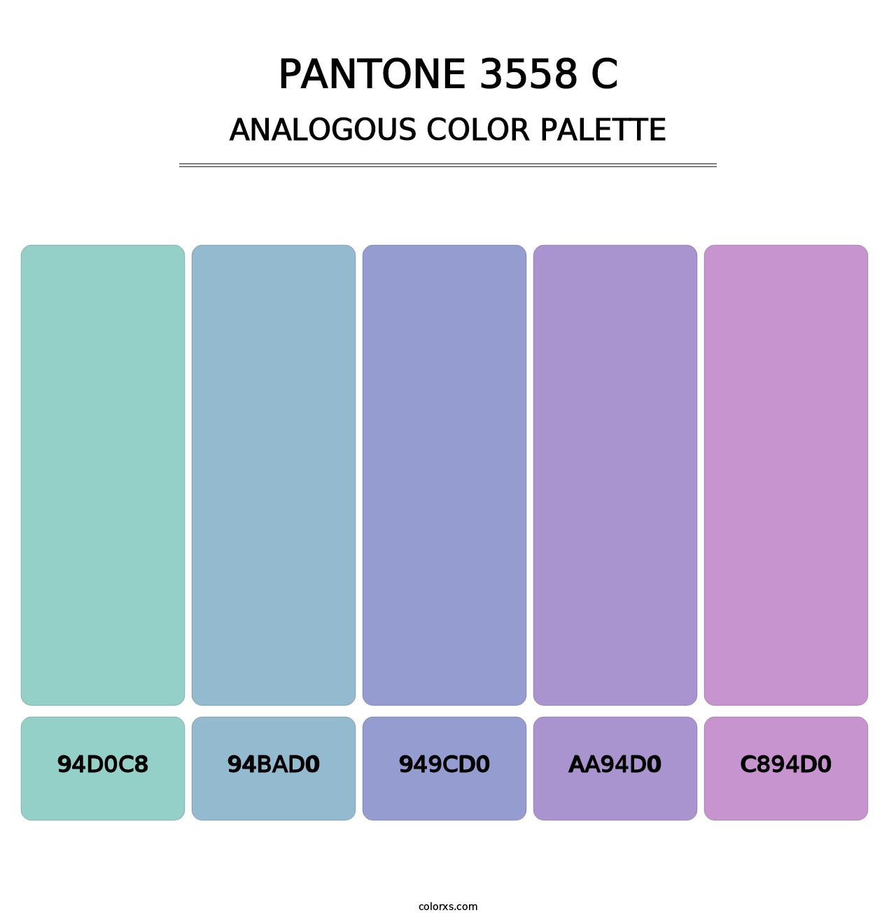 PANTONE 3558 C - Analogous Color Palette