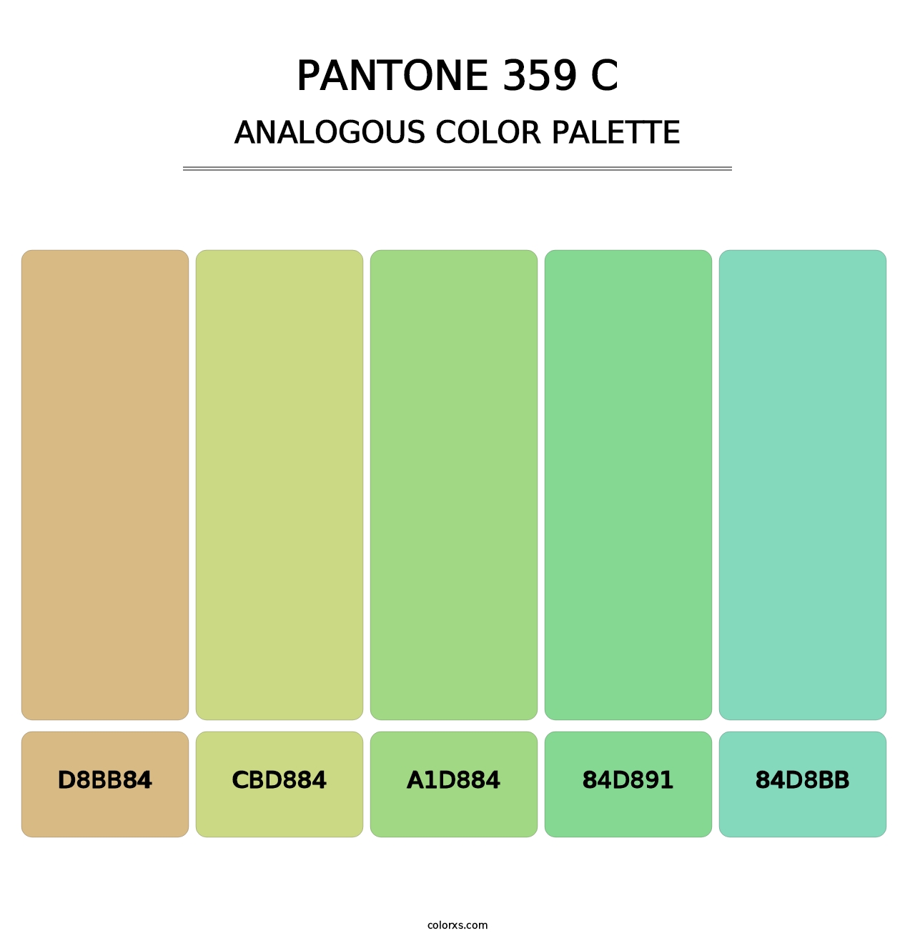 PANTONE 359 C - Analogous Color Palette