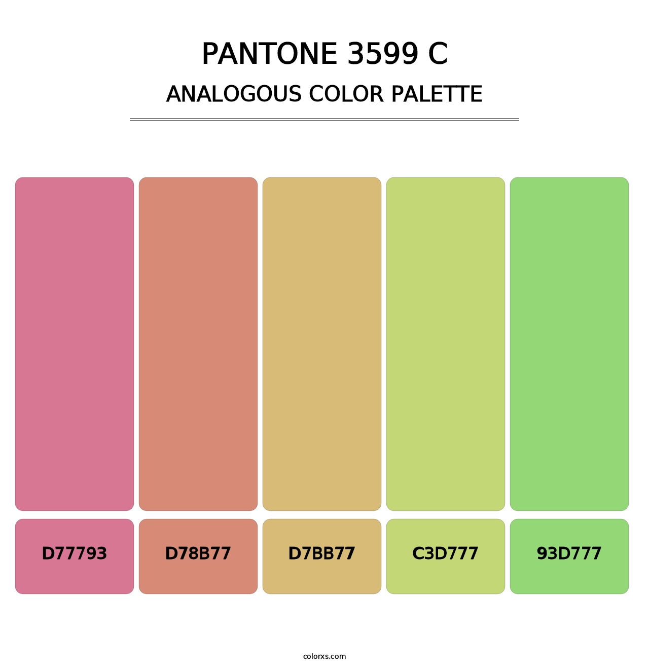 PANTONE 3599 C - Analogous Color Palette