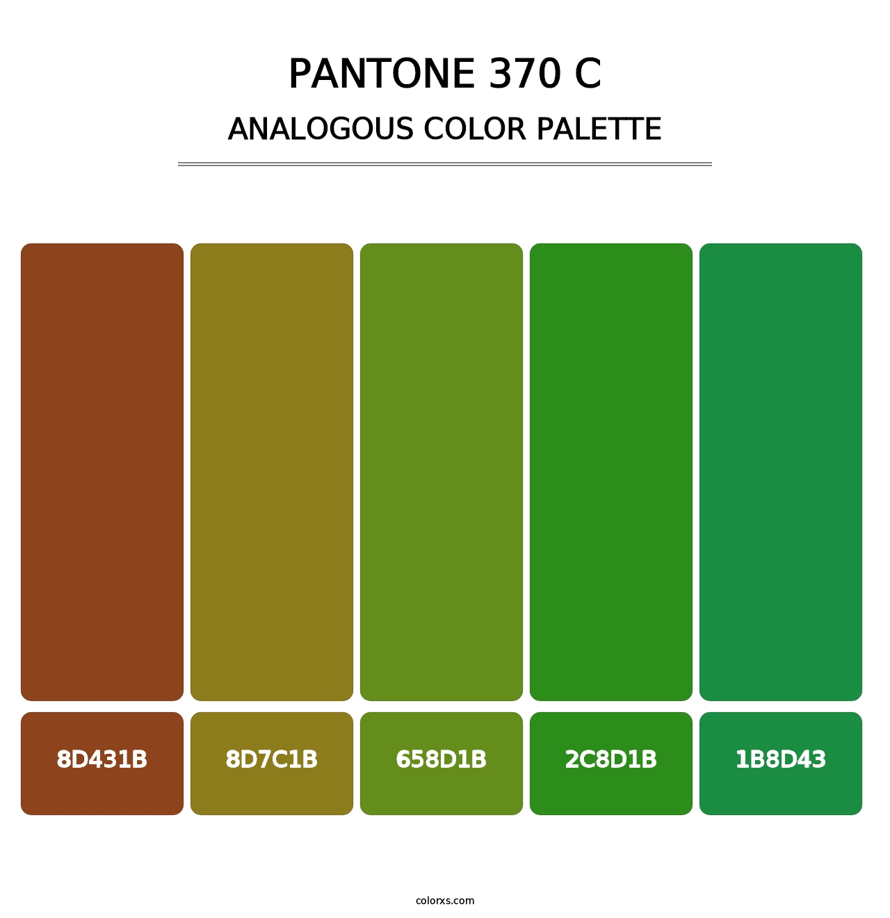 PANTONE 370 C - Analogous Color Palette
