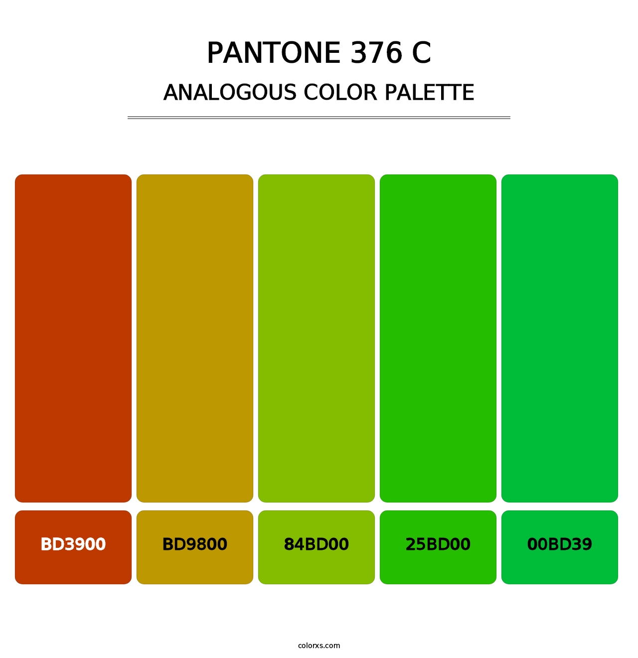 PANTONE 376 C - Analogous Color Palette