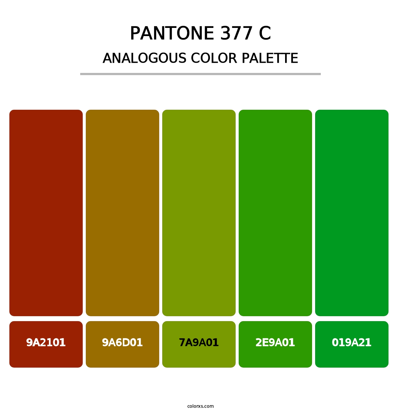 PANTONE 377 C - Analogous Color Palette