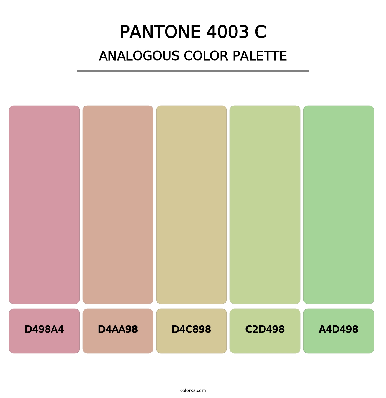 PANTONE 4003 C - Analogous Color Palette