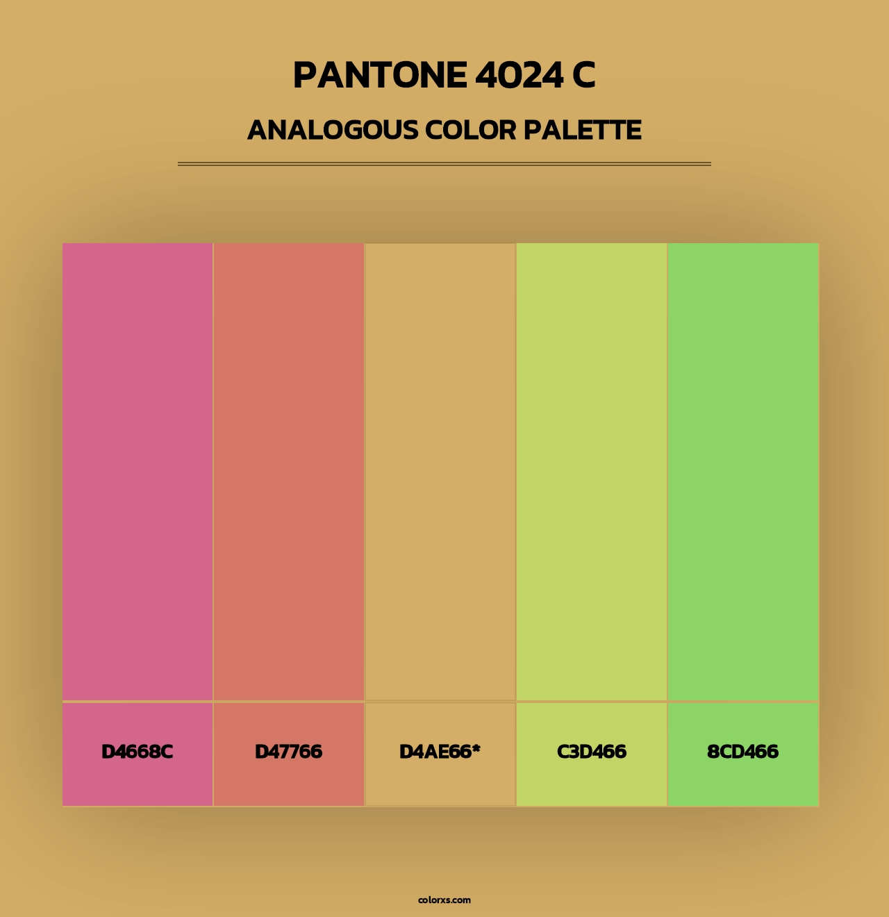 PANTONE 4024 C - Analogous Color Palette
