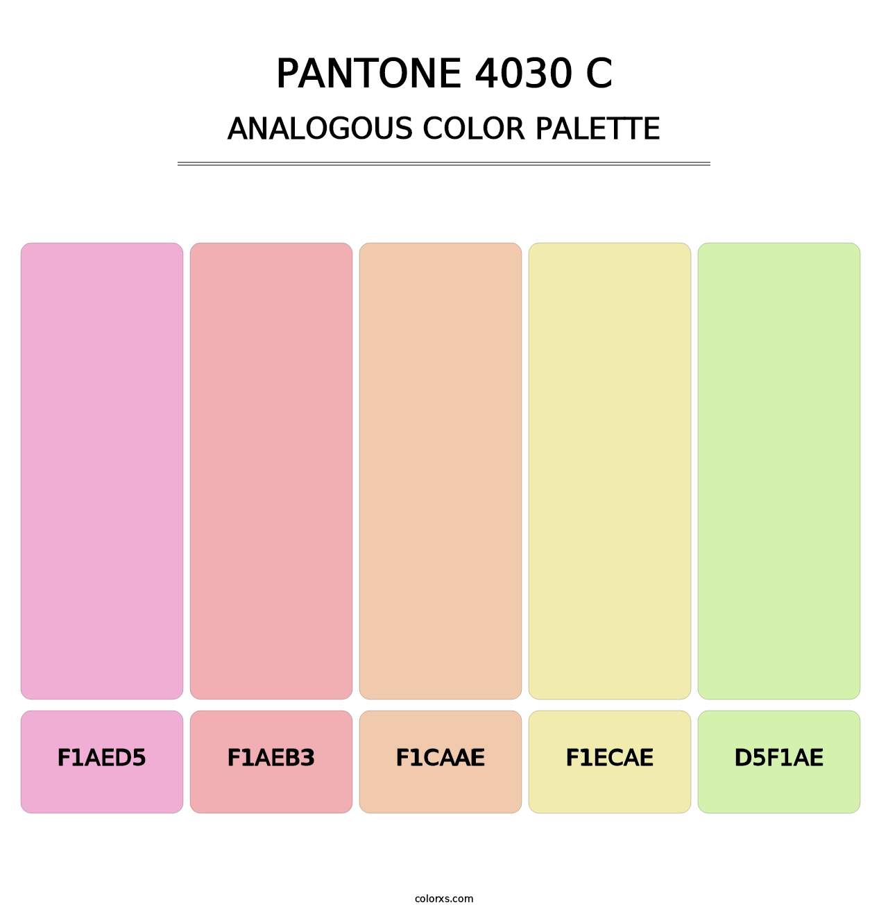 PANTONE 4030 C - Analogous Color Palette