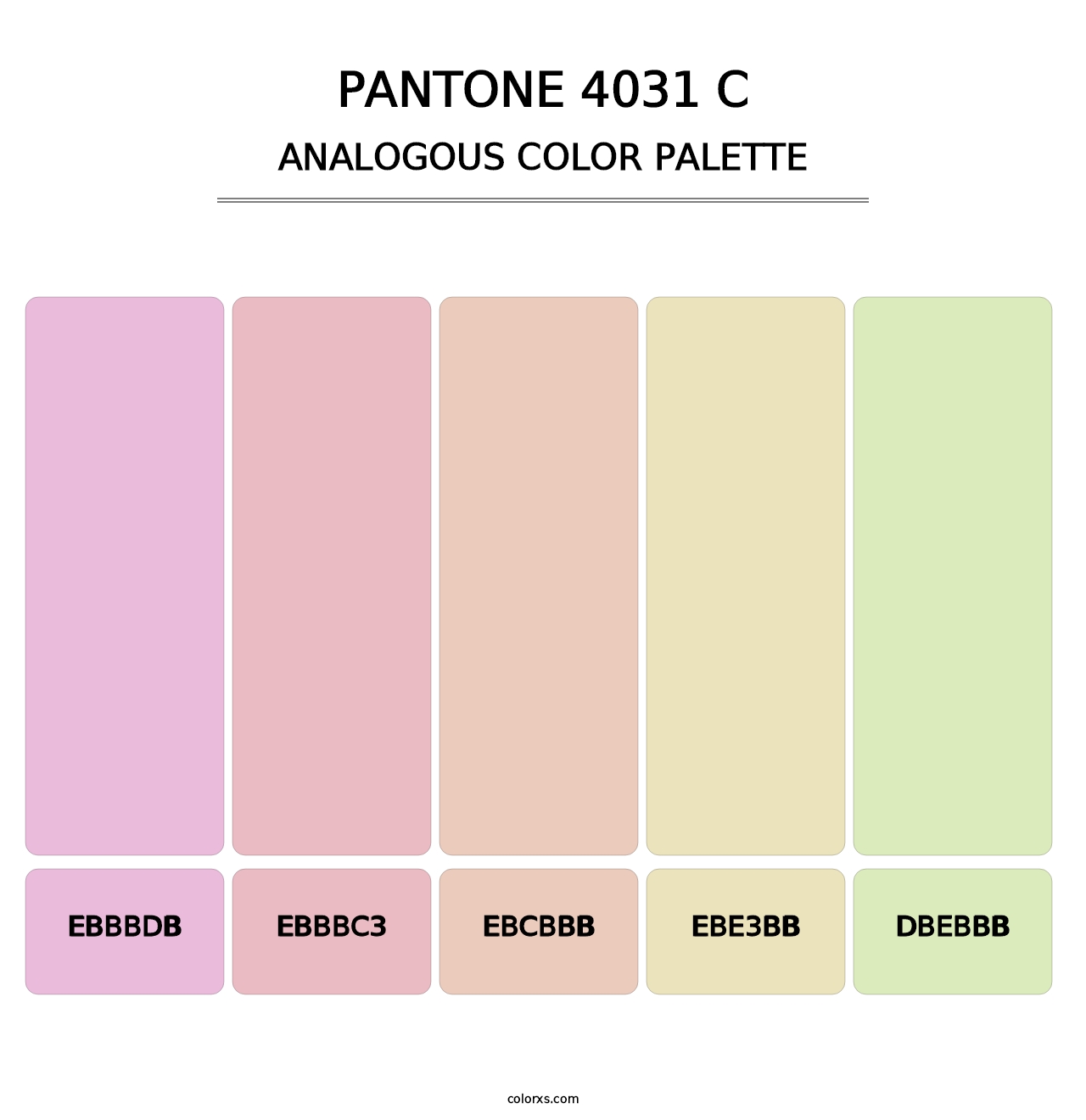 PANTONE 4031 C - Analogous Color Palette