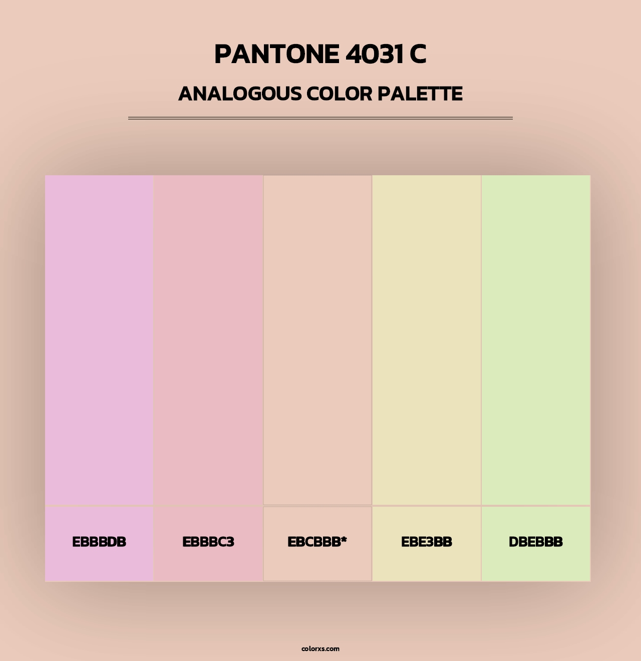 PANTONE 4031 C - Analogous Color Palette