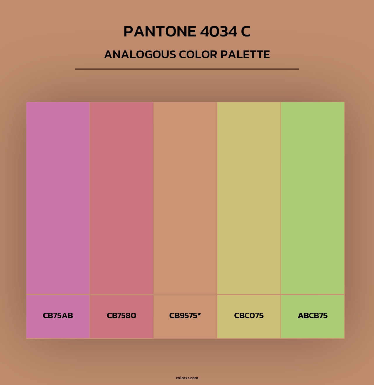 PANTONE 4034 C - Analogous Color Palette
