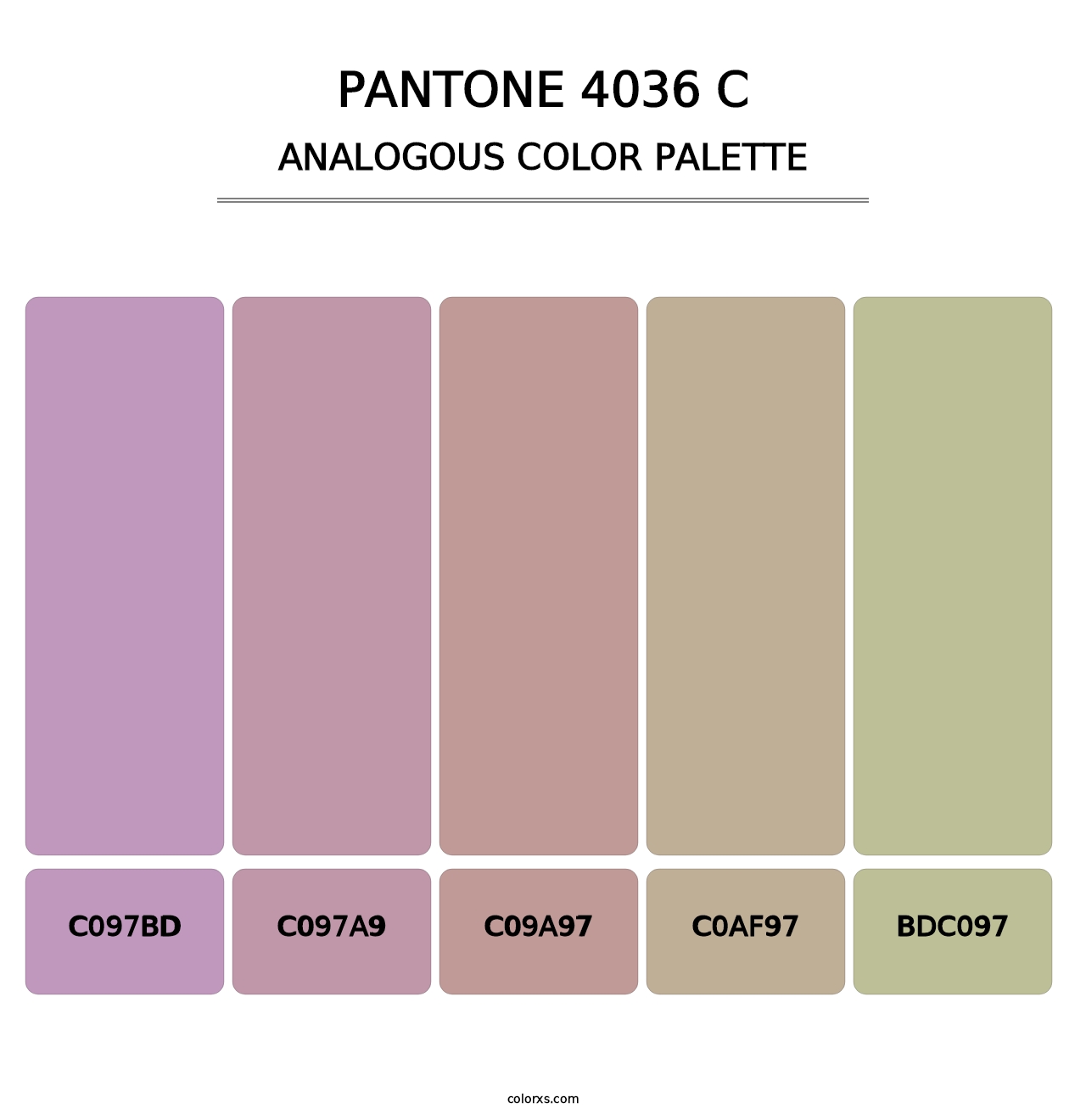 PANTONE 4036 C - Analogous Color Palette