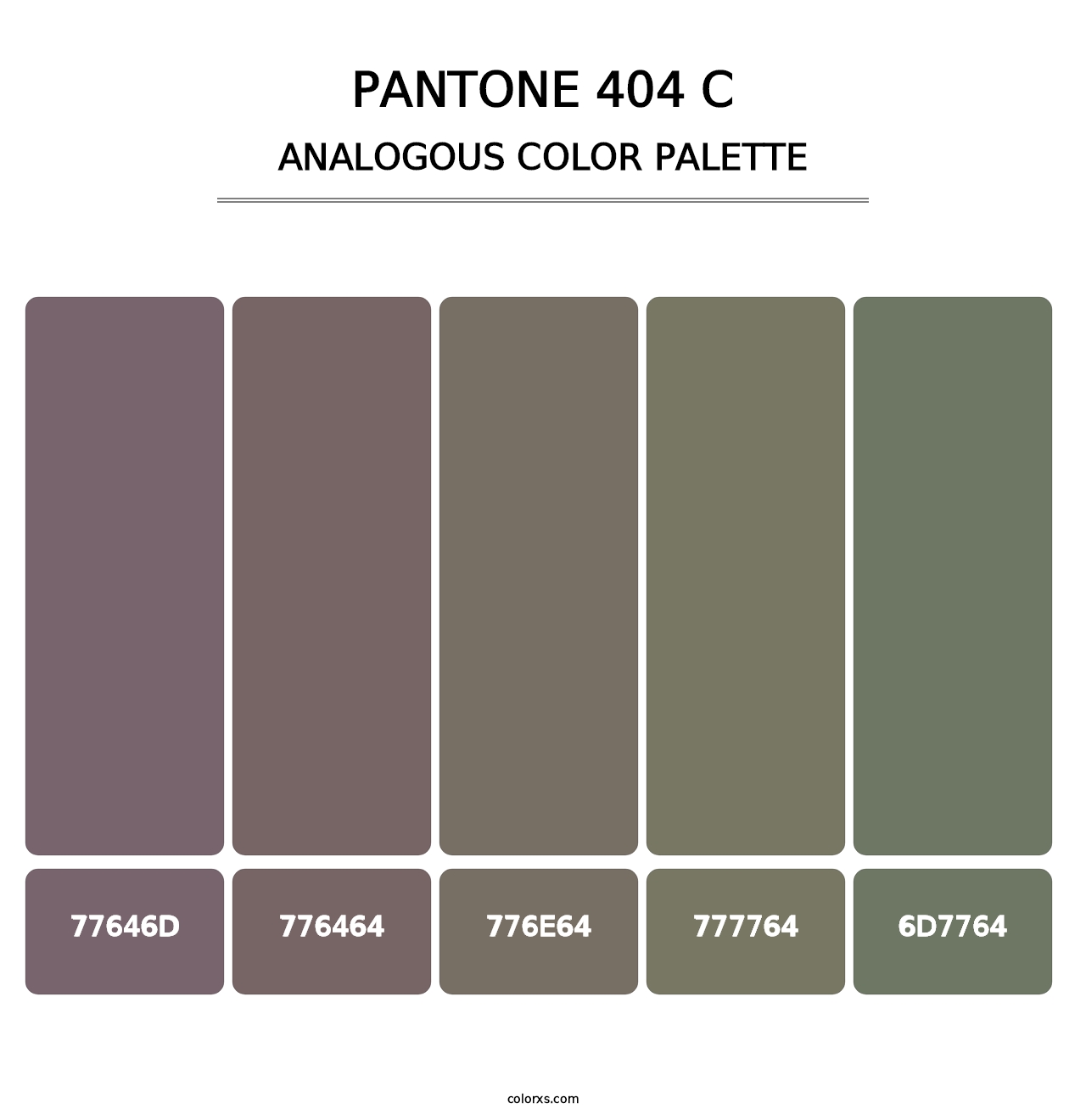PANTONE 404 C - Analogous Color Palette