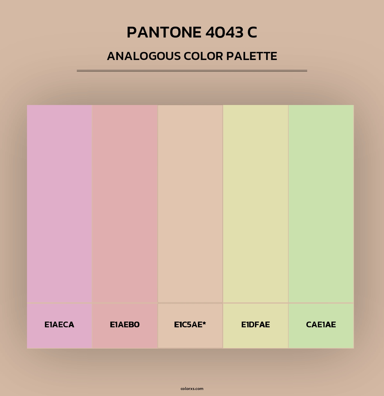 PANTONE 4043 C - Analogous Color Palette