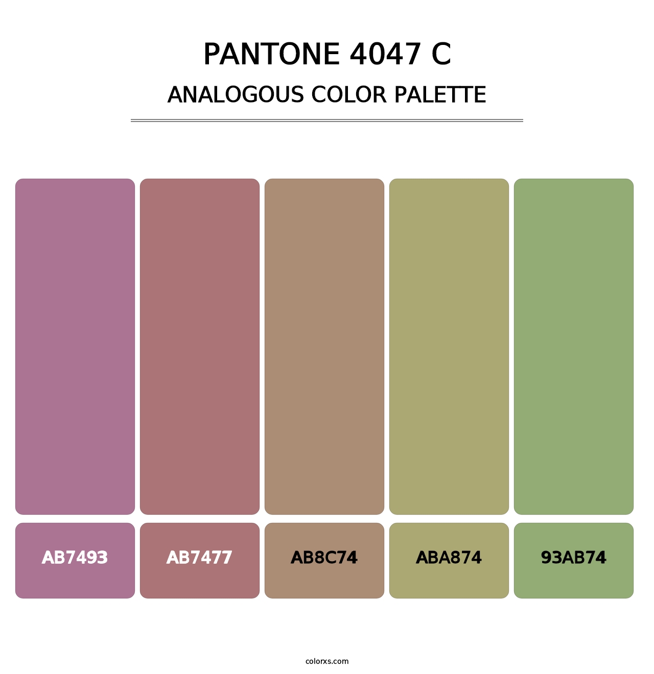 PANTONE 4047 C - Analogous Color Palette