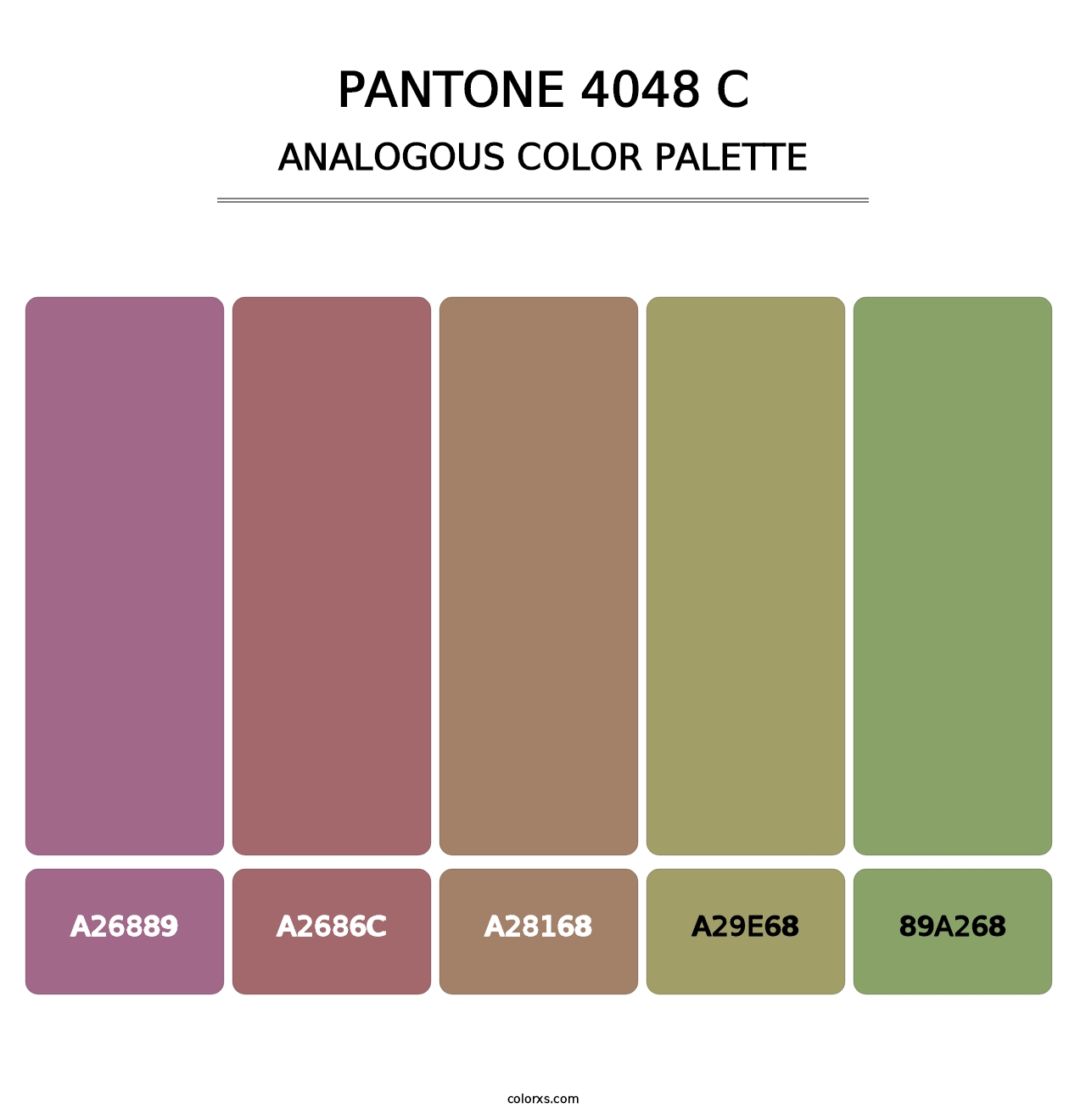PANTONE 4048 C - Analogous Color Palette
