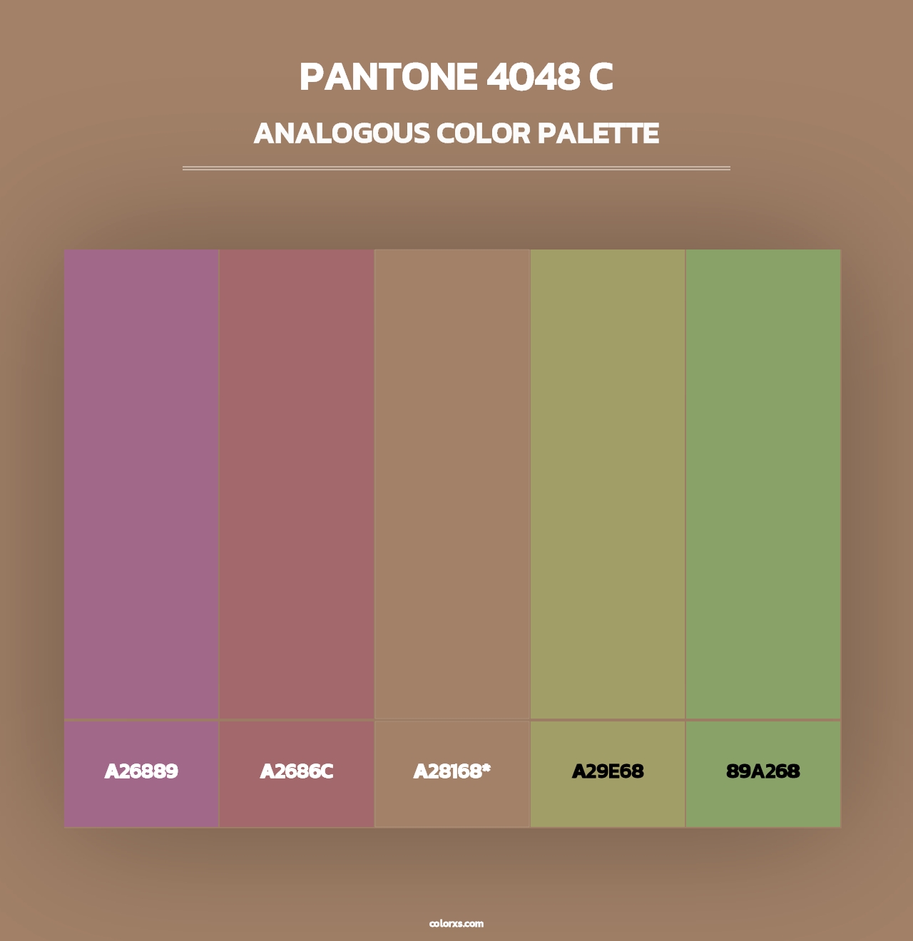PANTONE 4048 C - Analogous Color Palette