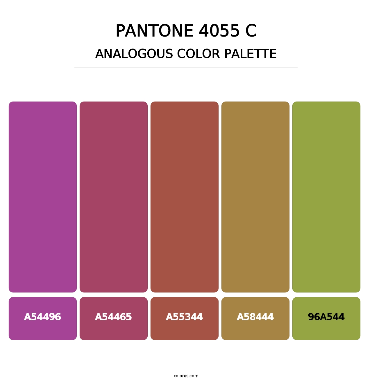 PANTONE 4055 C - Analogous Color Palette