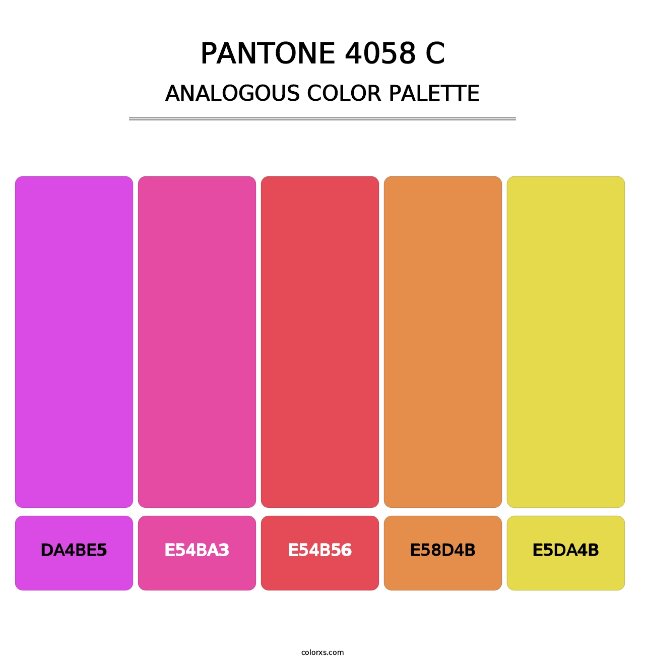 PANTONE 4058 C - Analogous Color Palette
