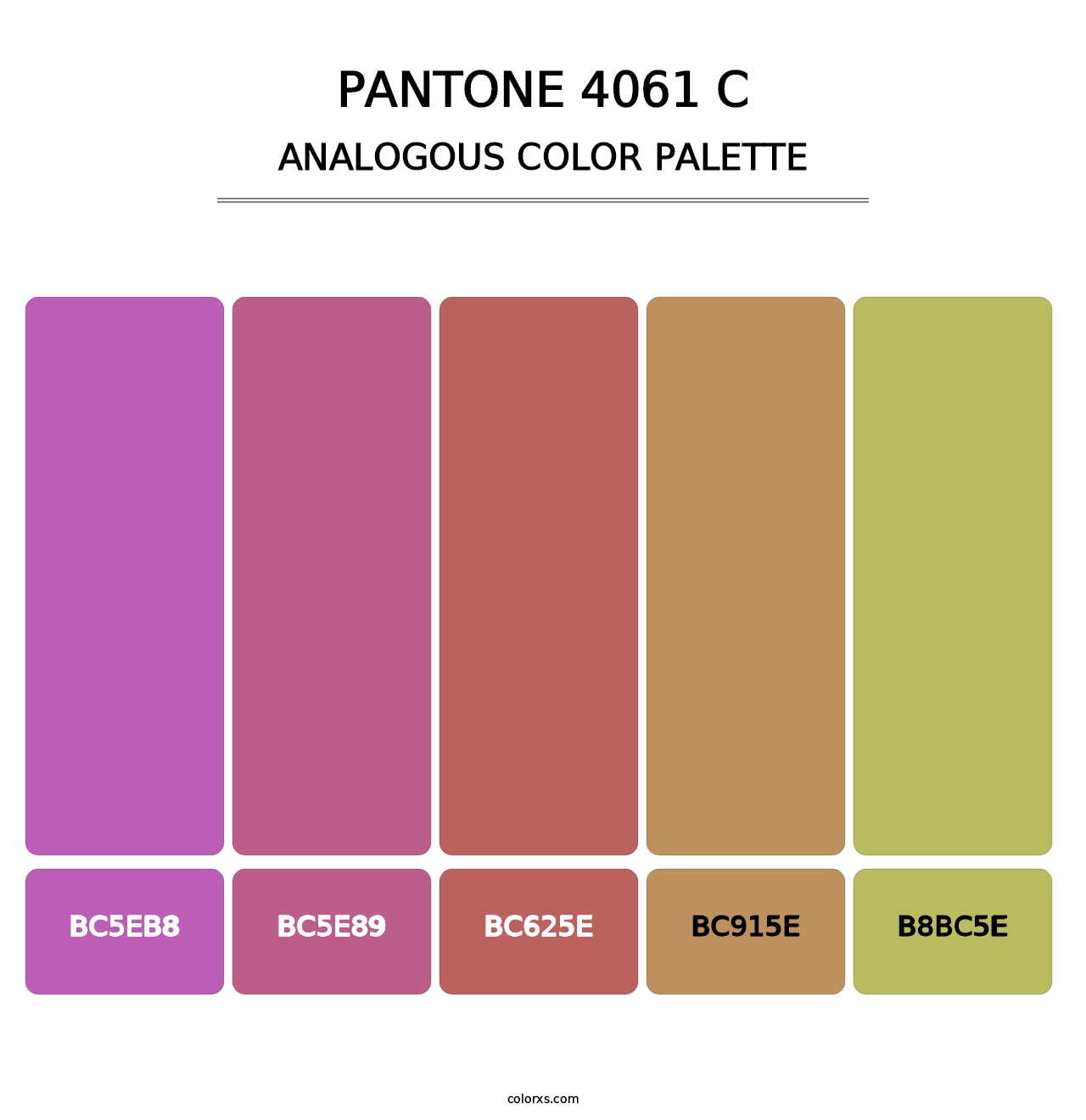 PANTONE 4061 C - Analogous Color Palette