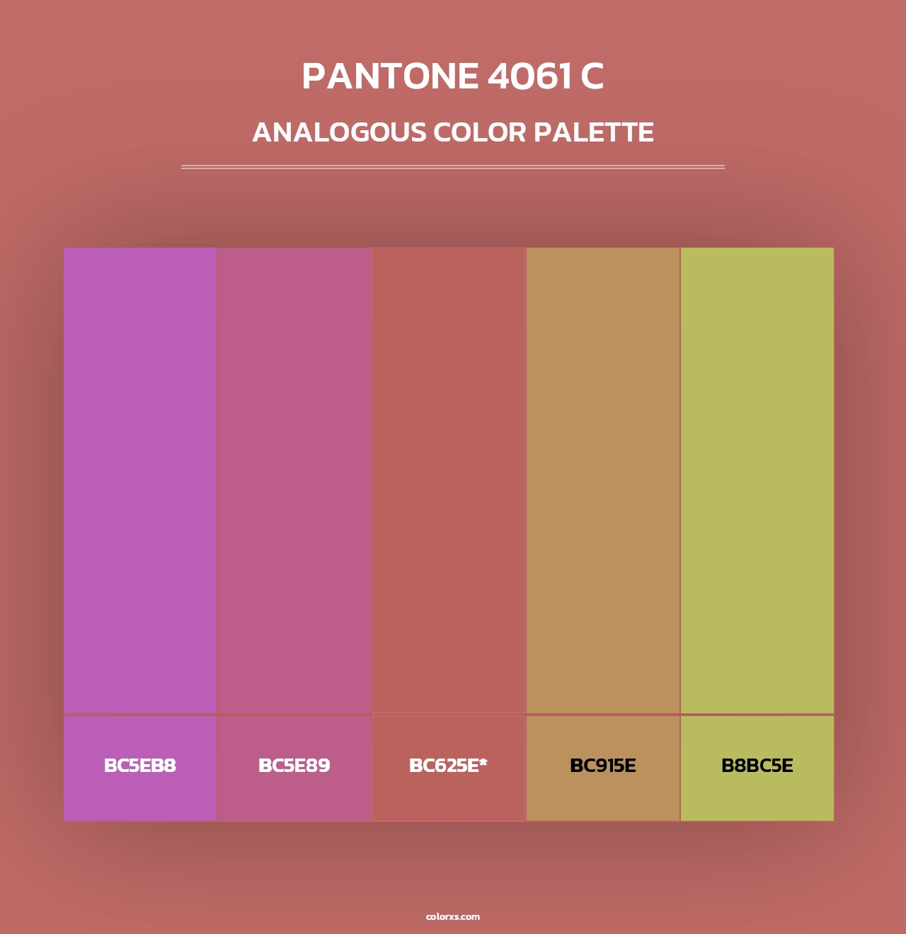 PANTONE 4061 C - Analogous Color Palette