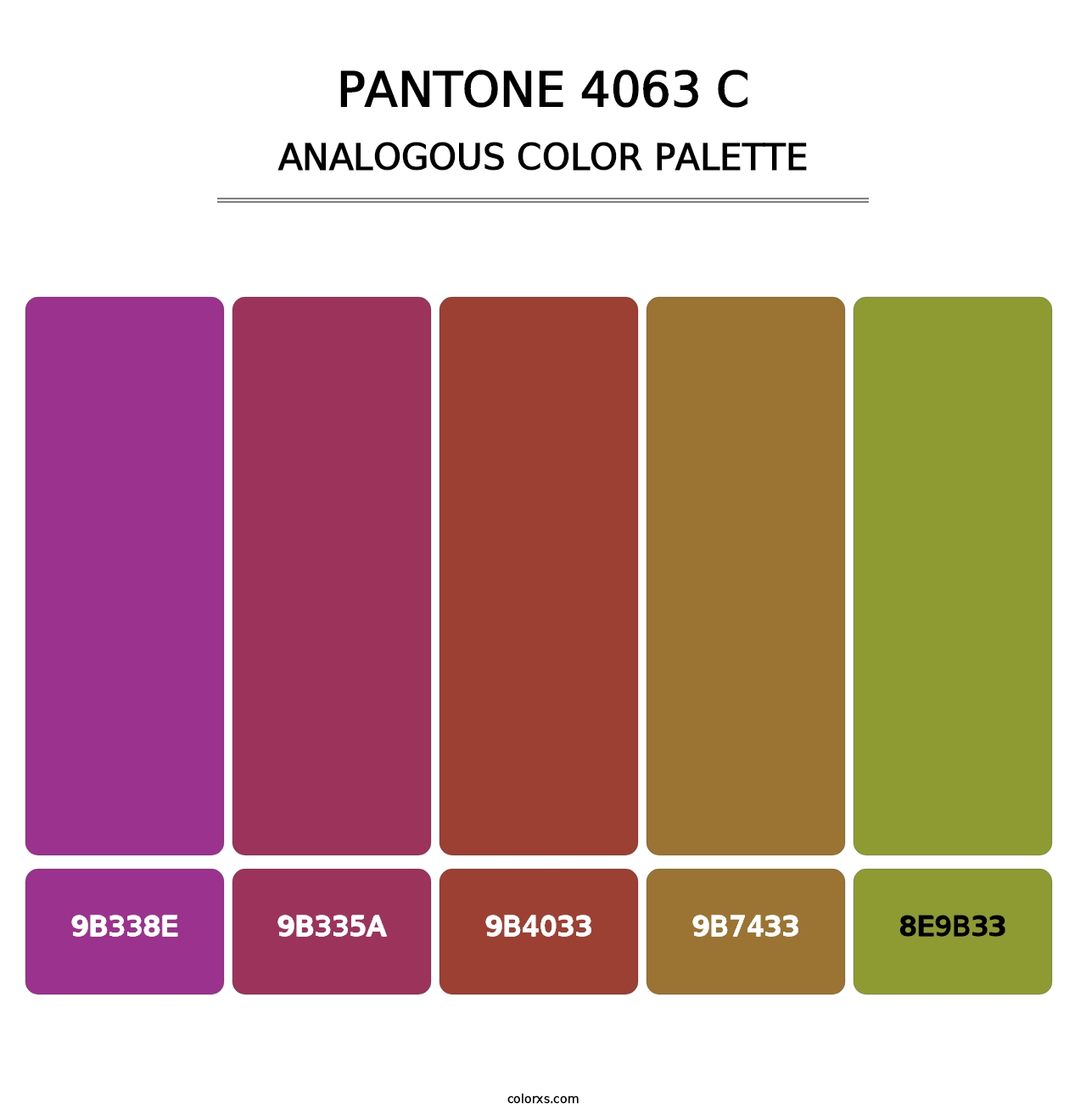 PANTONE 4063 C - Analogous Color Palette