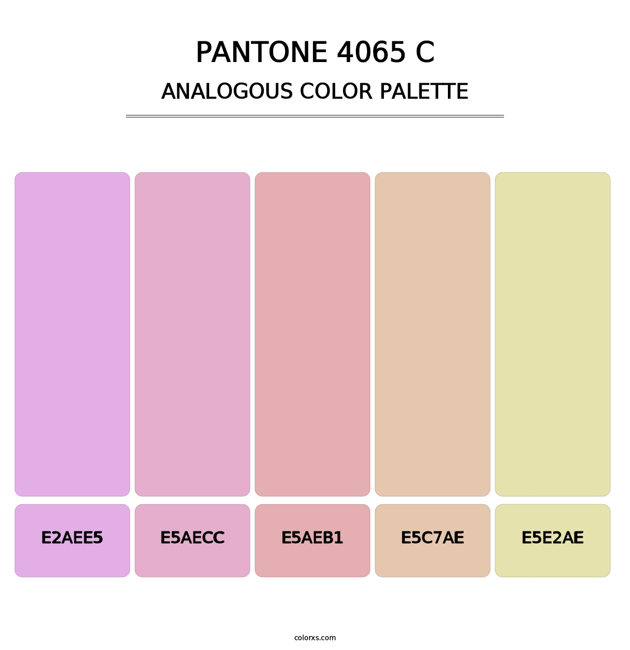 PANTONE 4065 C - Analogous Color Palette