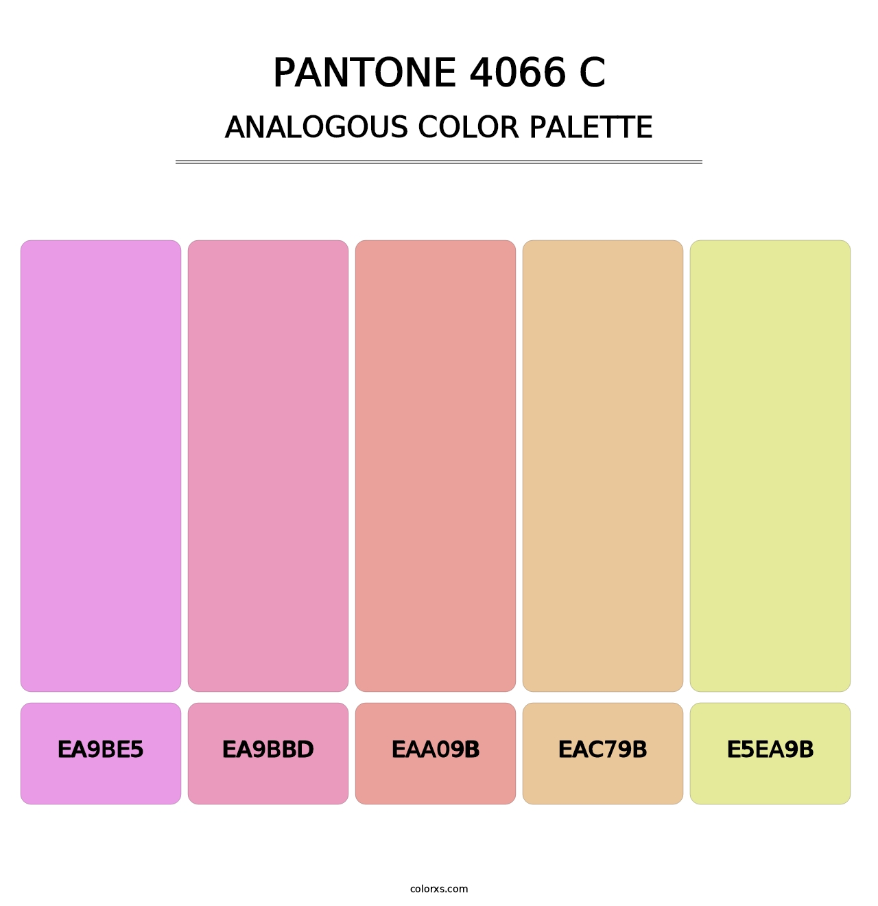 PANTONE 4066 C - Analogous Color Palette