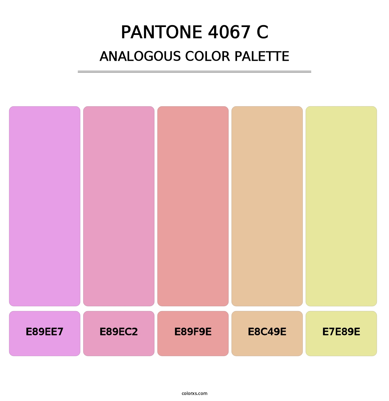 PANTONE 4067 C - Analogous Color Palette