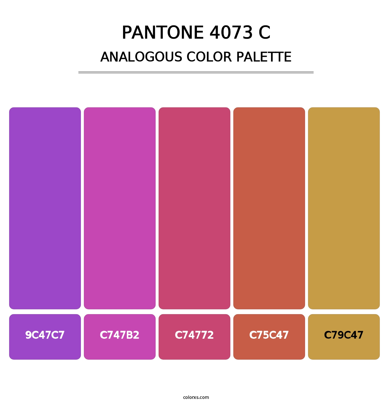 PANTONE 4073 C - Analogous Color Palette