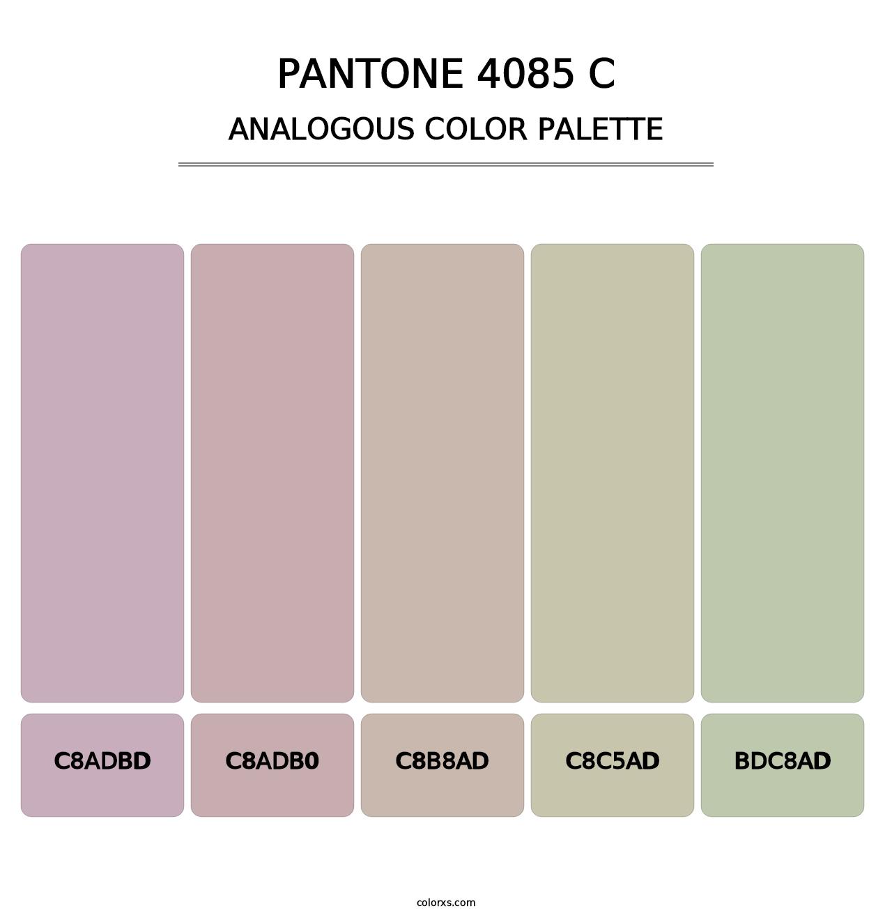 PANTONE 4085 C - Analogous Color Palette