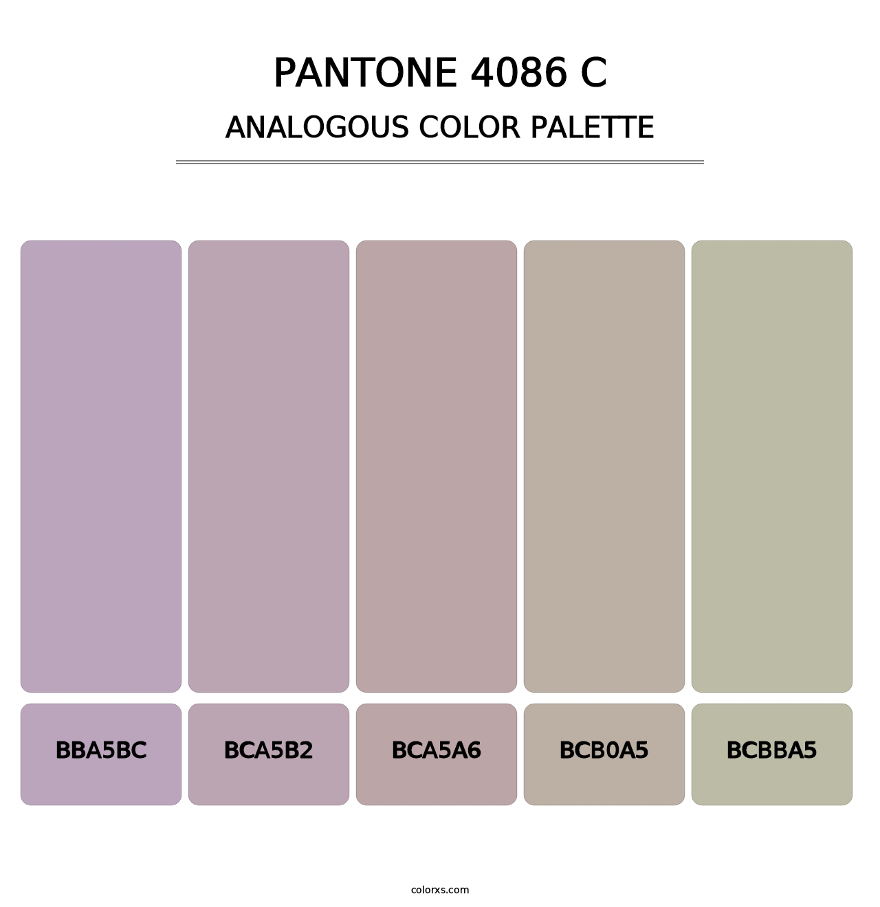 PANTONE 4086 C - Analogous Color Palette