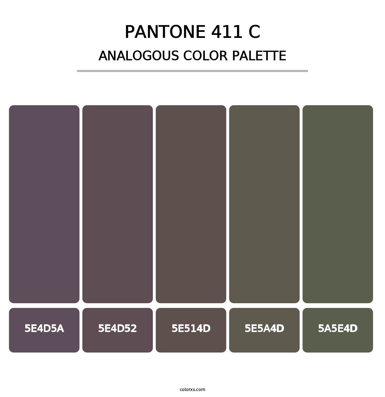PANTONE 411 C - Analogous Color Palette