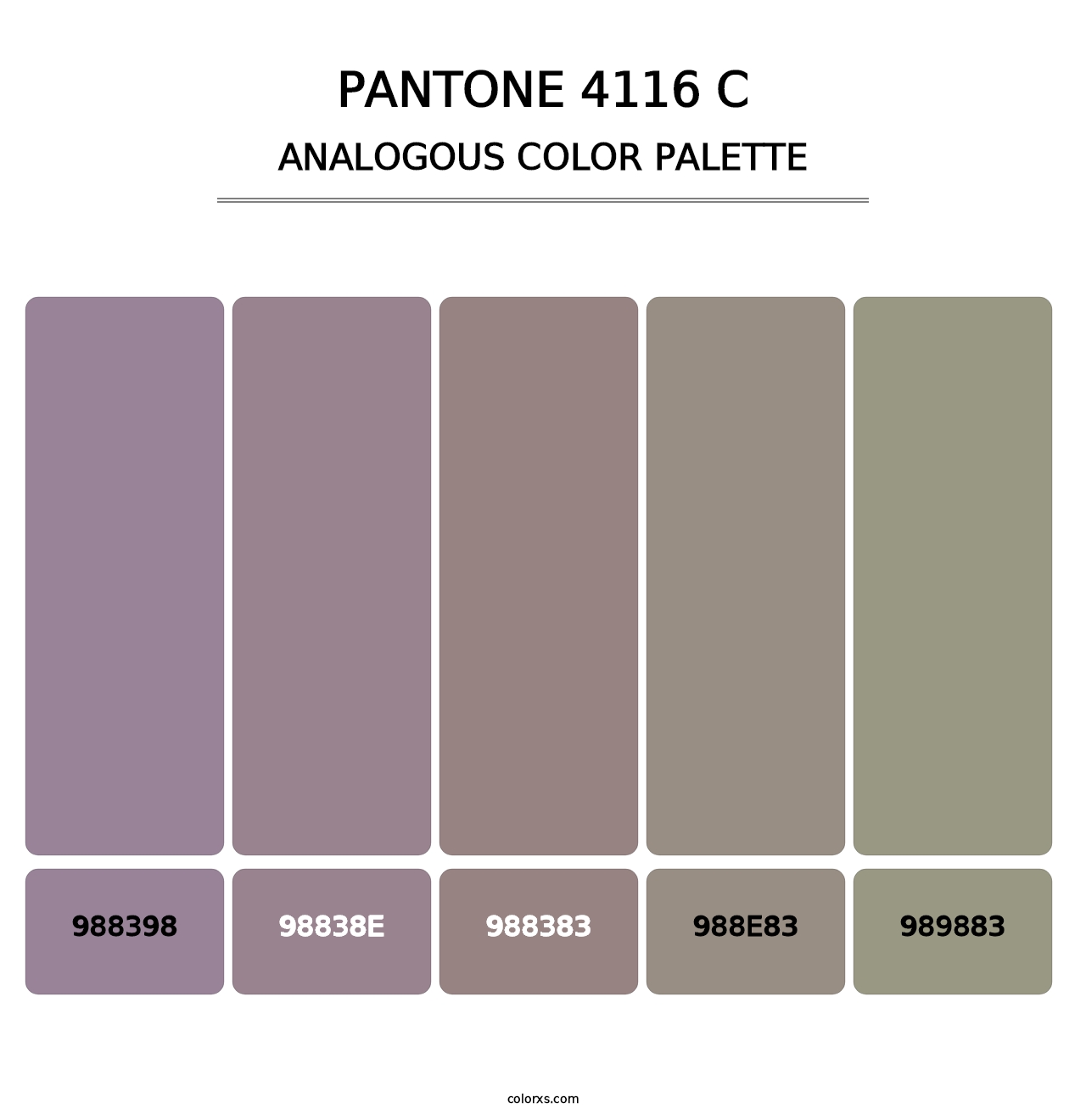 PANTONE 4116 C - Analogous Color Palette