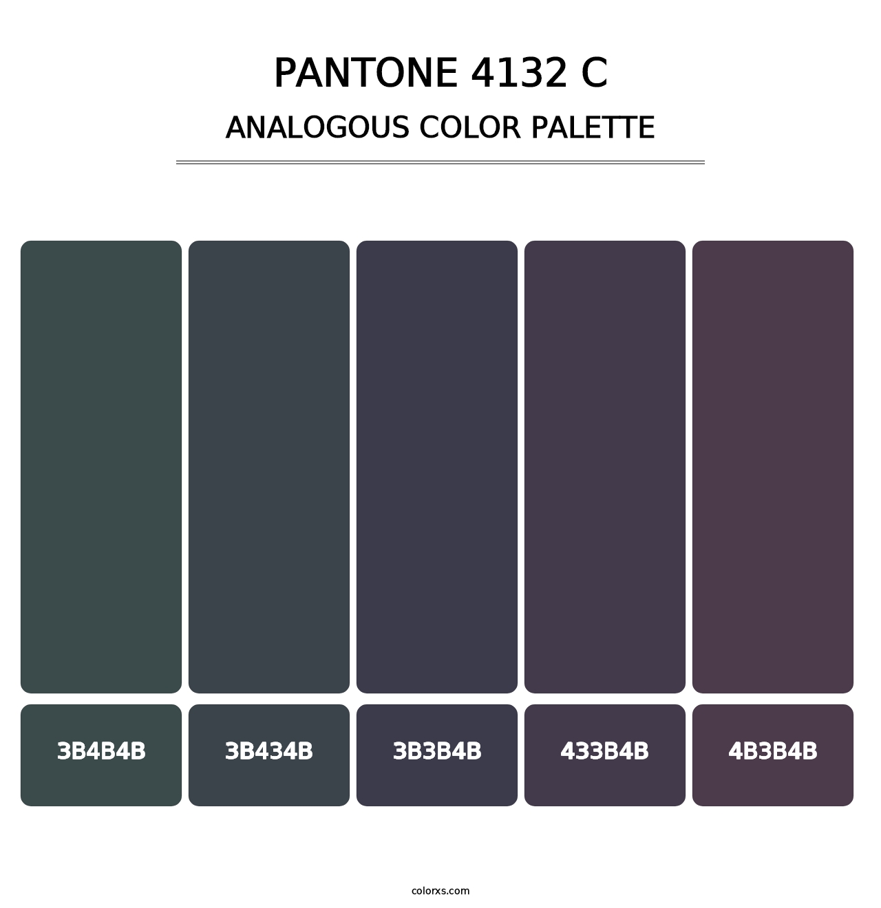 PANTONE 4132 C - Analogous Color Palette