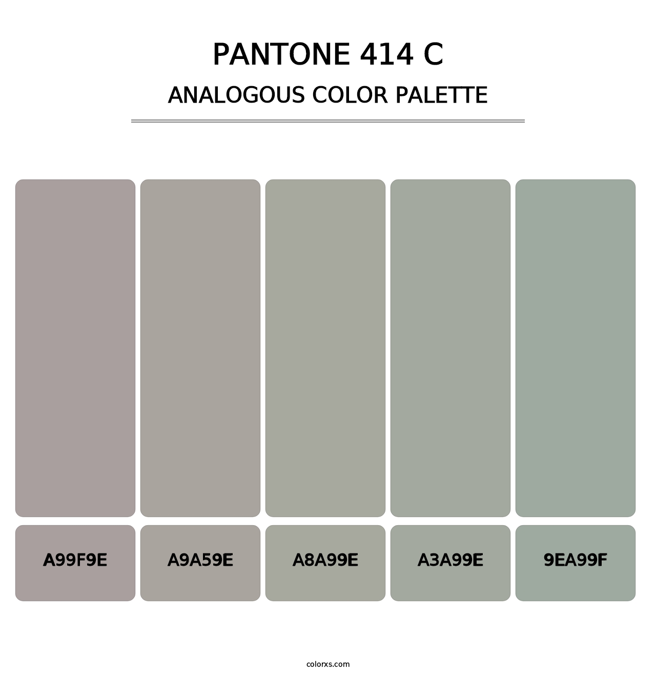 PANTONE 414 C - Analogous Color Palette