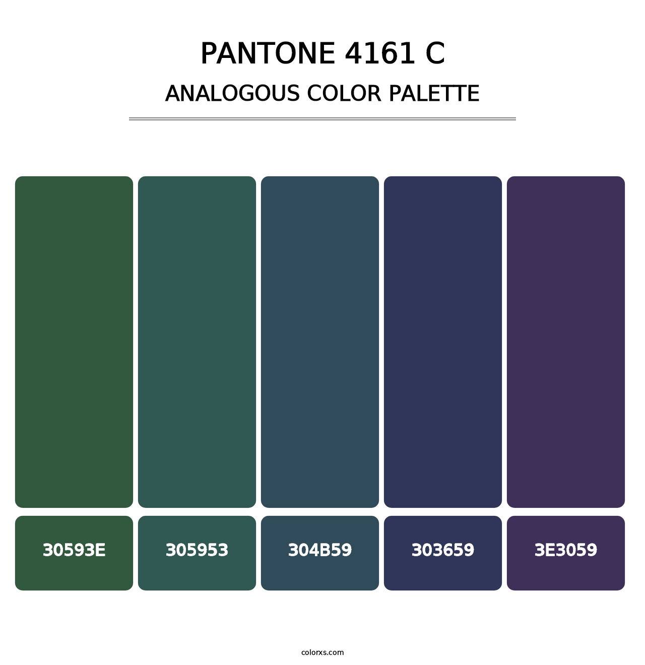 PANTONE 4161 C - Analogous Color Palette