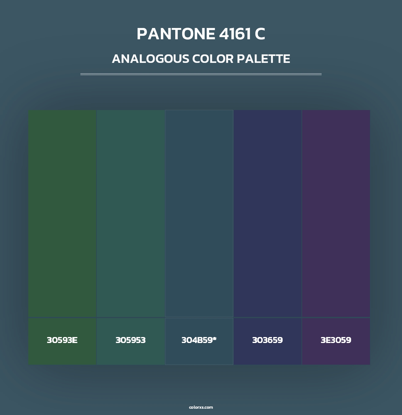 PANTONE 4161 C - Analogous Color Palette