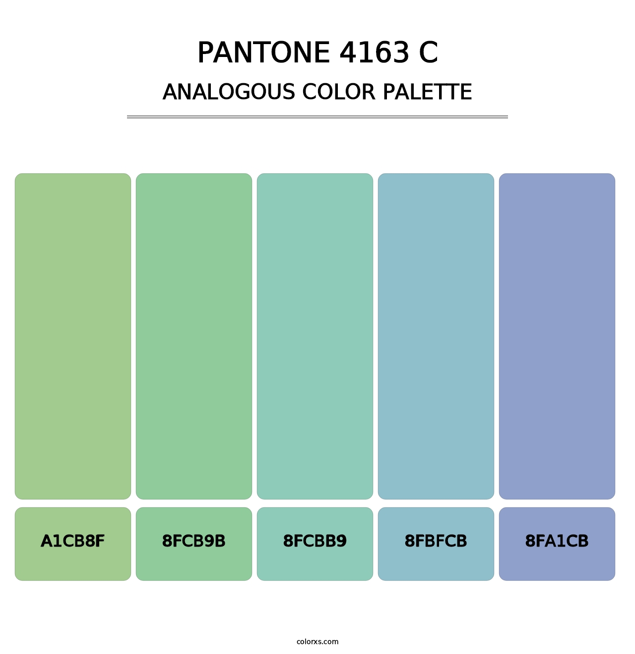 PANTONE 4163 C - Analogous Color Palette