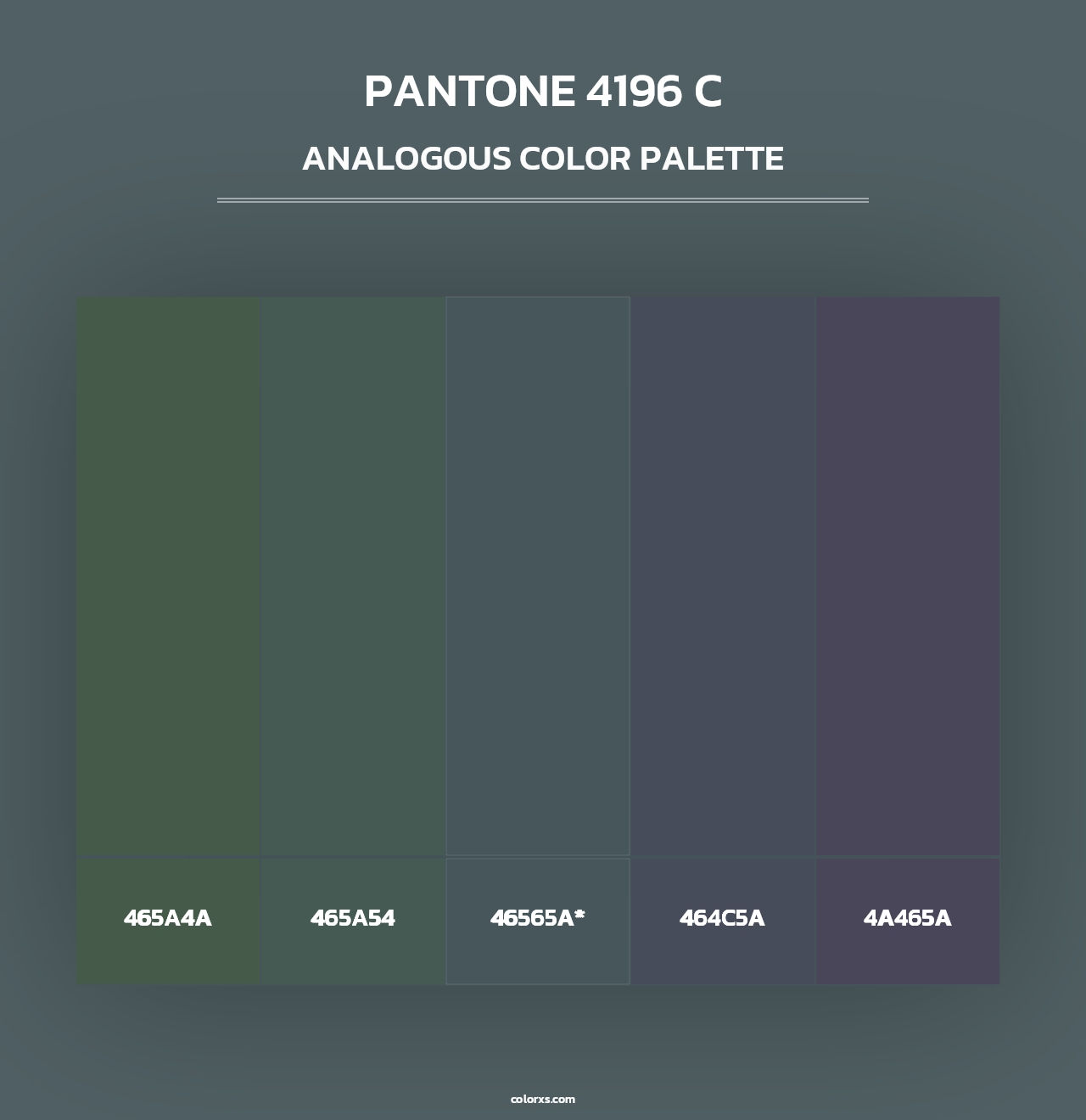 PANTONE 4196 C - Analogous Color Palette